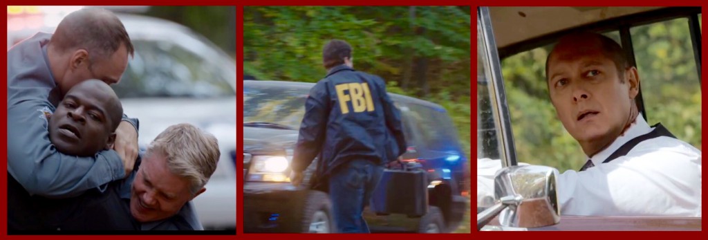 Police Raid: Dembe is taken down by two officers. A man wearing a jacket marked "FBI" walks off with the "Care package." Red sees the commotion and leaves in Cash's truck.